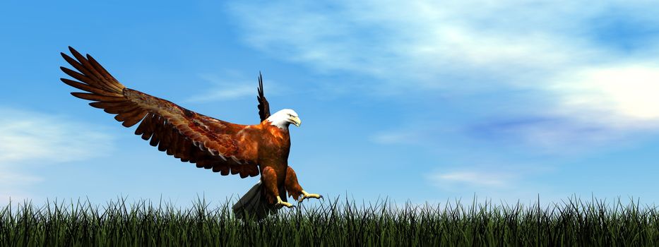 Eagle landing on the green grass by day - 3D render