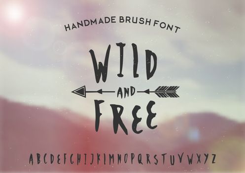 Wild and Free Hand Drawn Font
