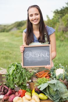 Pretty brunette selling organic vegetables