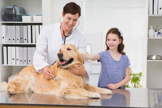 Smiling vet examining a dog with its owner