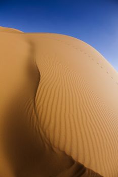 Sahara Desert, merzouga, colorful vibrant travel theme