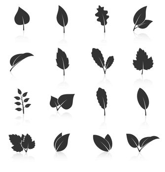 Set of leaf icons on white background