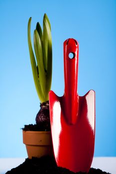 Gardening tools, vivid bright springtime concept
