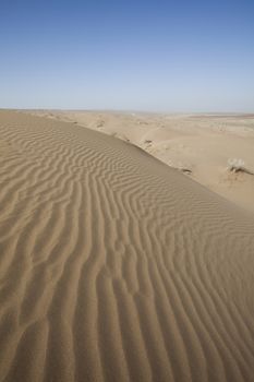 Desert dunes, wonderful saturated travel theme