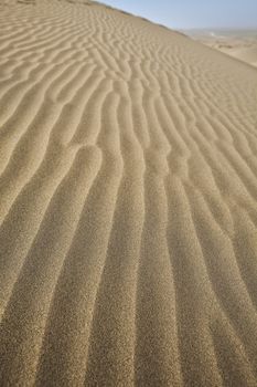 Dunes, wonderful saturated travel theme