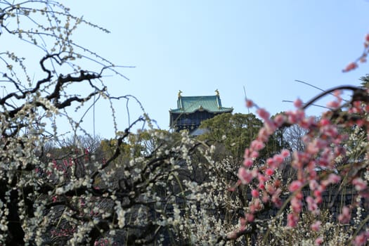 Osaka Castle and plum blossoms