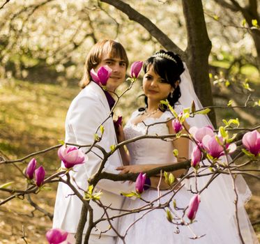 Newlyweds on nature background with blossoming magnolias