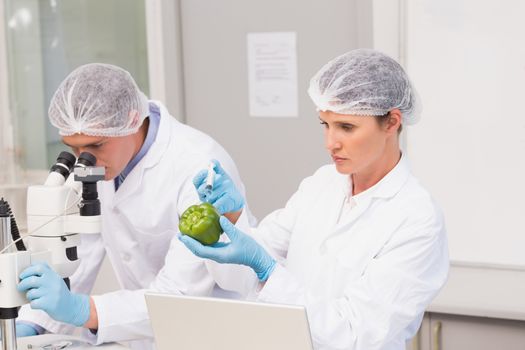 Scientists examining green pepper 