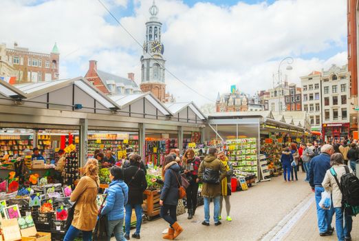 Street flower market in Amsterdam