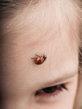 Ladybird bug walking across forehead of a girl