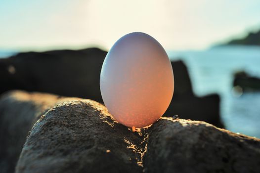 Egg on the boulder 