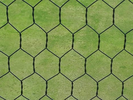 Green Field Behind the Net