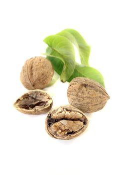Walnut with walnut leaves