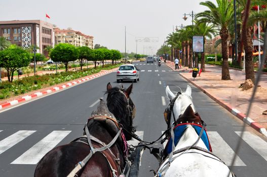 marrakech horse ride