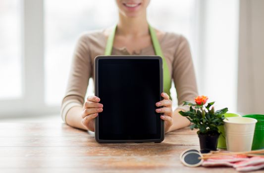 people, gardening, flowers and profession concept - close up of happy woman or gardener showing tablet pc computer black blank screen at home