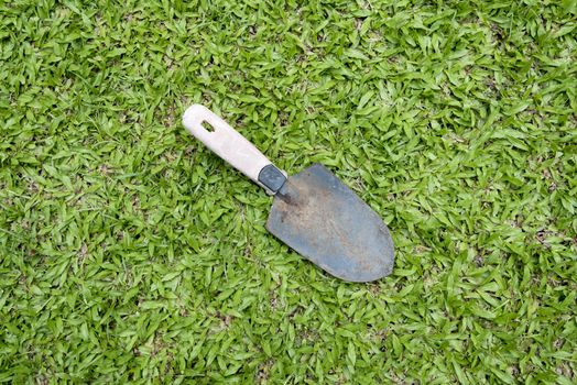 shovel on grass