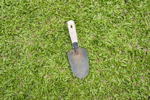 shovel on grass