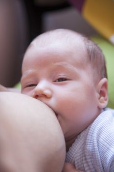 face newborn breastfeeding