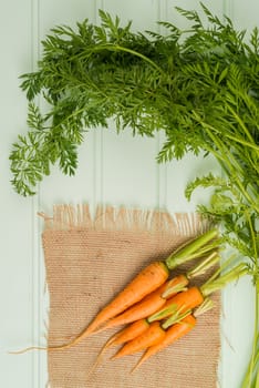 Carrots on wooden table
