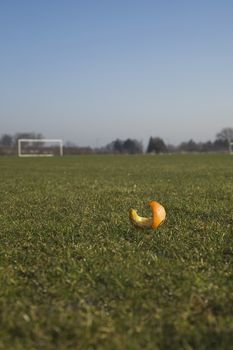 Eaten Orange segments on a soccer field