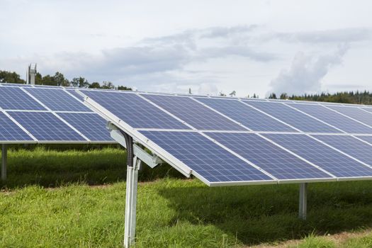 Field with blue siliciom solar cells alternative energy