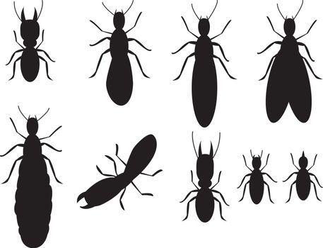 Set of Black silhouettes termites on a white background