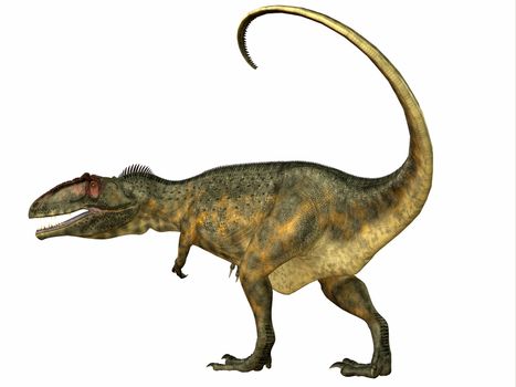 Giganotosaurus was a carnivorous theropod dinosaur that lived in Argentina during the Cretaceous Period.