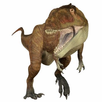 Carcharodontosaurus Carnivore