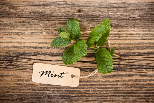 Mint with label