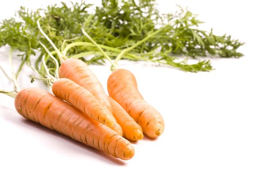 bio carrots