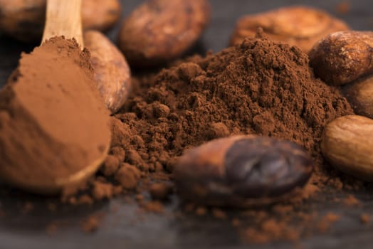 cacao beans and cacao powder in spoon