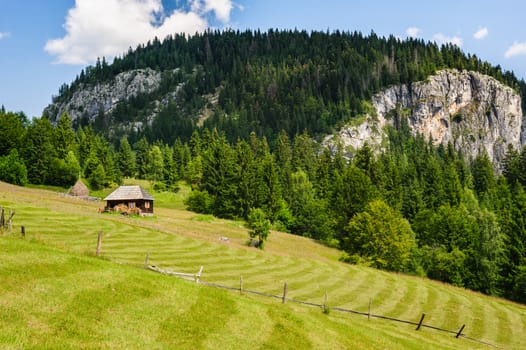 Single wooden house on slope meadow in mountains