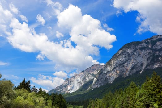 Mountains and Forests in Carinthia Austria