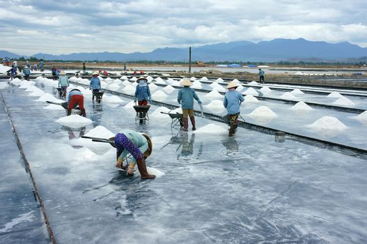 Asia worker, salt marsh, working