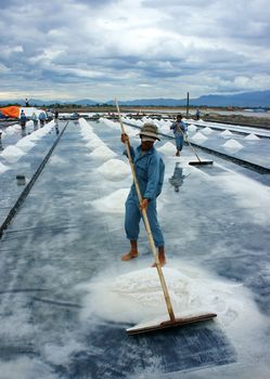 Asia worker, salt marsh, working