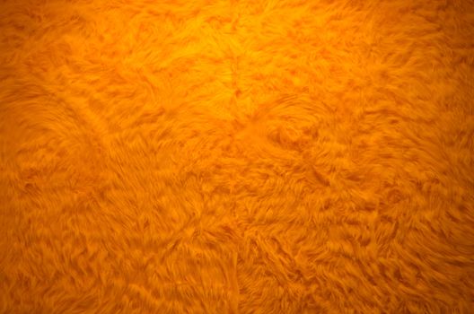 Orange fur texture