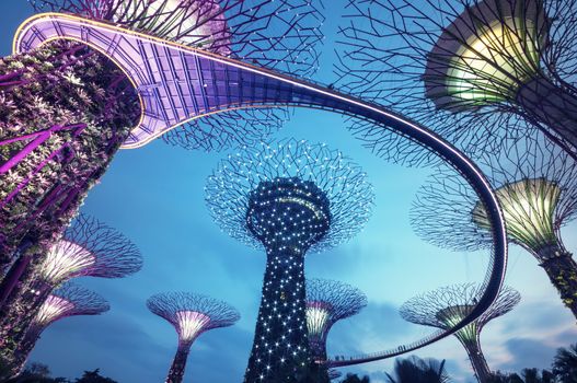 Supertree Grove in Singapore