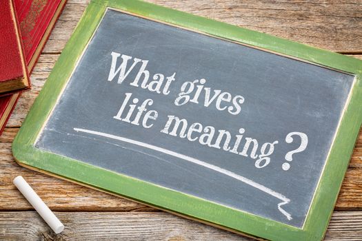 What gives life meaning question