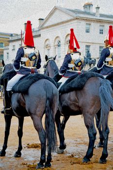 in london england horse and cavalry for    the queen