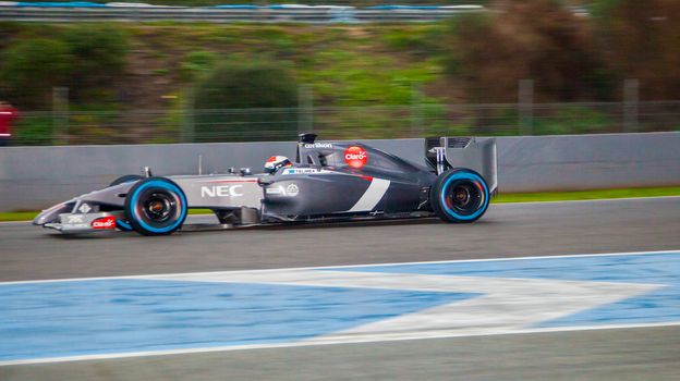 Team Sauber F1, Adrian Sutil, 2014