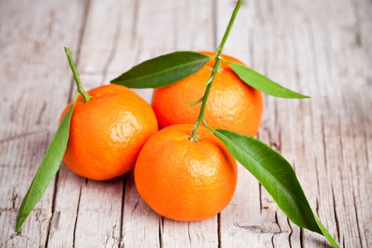 fresh tangerines with leaves 