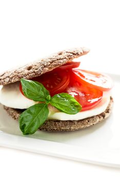 Sandwich with mozzarella tomatoes and rye bread
