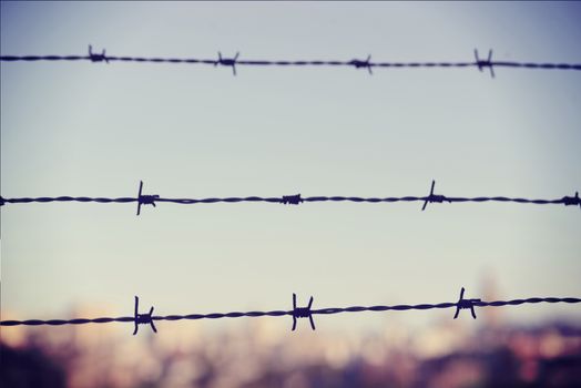 Freedom concept: barbed wire closeup vintage blur background