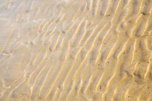 dune   in africa brown   wet sand beach atlantic ocean