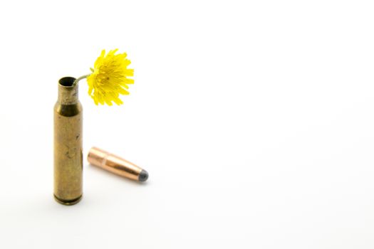shotgun shell with yellow flower