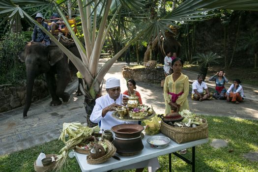 INDONESIA - HINDUISM - BALI ZOO PRAISES ANIMALS ON HOLIDAY