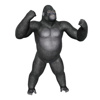 Angry gorilla fighting - 3D render