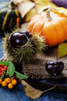 Autumn concept with seasonal fruits and vegetables