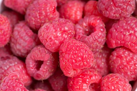 A beautiful selection of freshly picked ripe red raspberries
