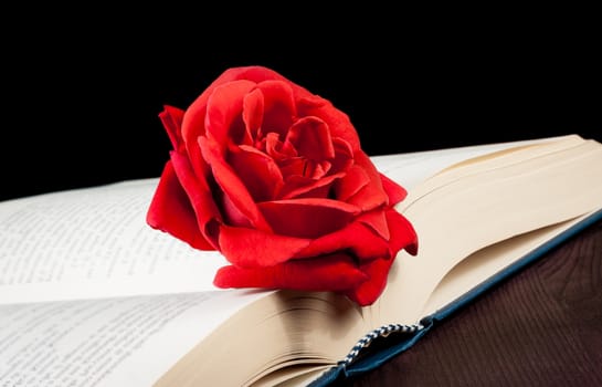 detail of red rose on open book on old wood background with space for text